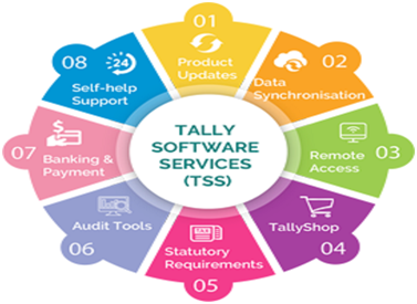 Tally service partner Coimbatore | Tally software services | TSS